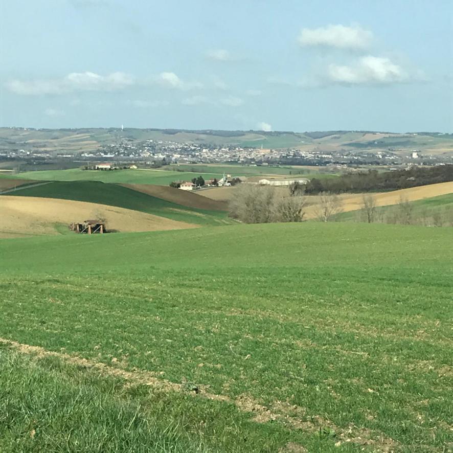 Maison D'Hotes La Lumiere De Migou Beaumont-de-Lomagne Exteriér fotografie